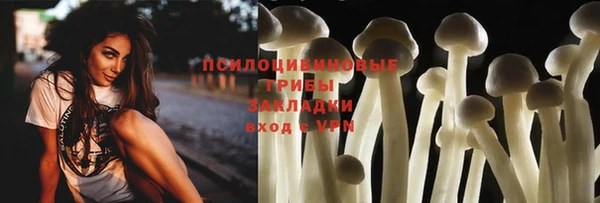 мет Елизово