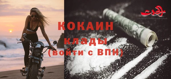 мет Елизово