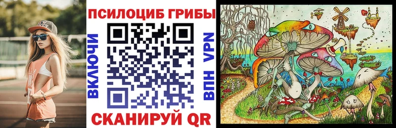 Купить  Дегтярск  Галлюциногенные грибы мицелий 